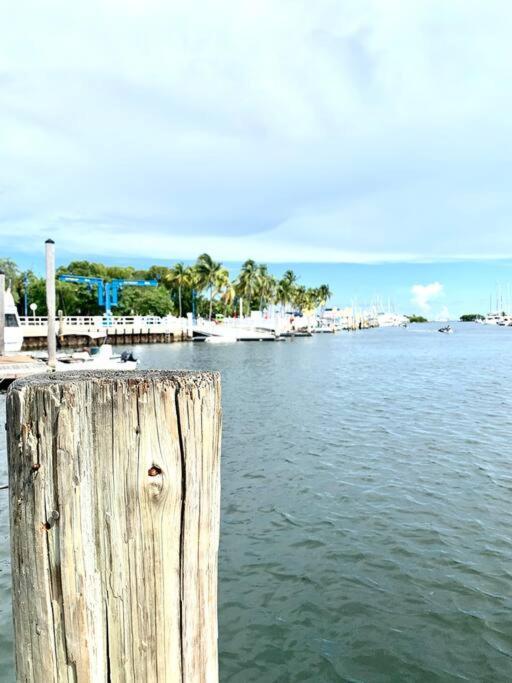 Groveo5 10 Minutes From Miami Beach Exterior photo